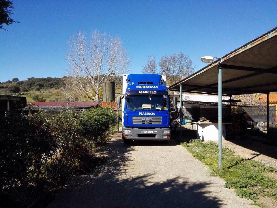 company_name_branding] camión azul de mudanzas 2